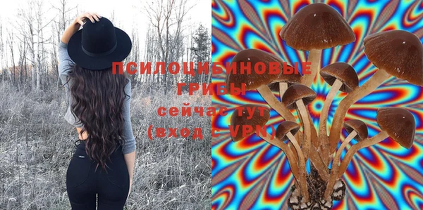 дмт Переславль-Залесский