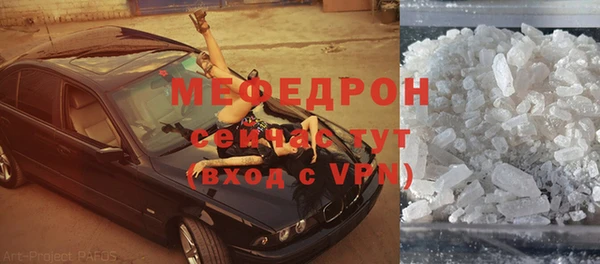 индика Пестово